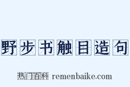 野步书触目造句是什么意思的图片